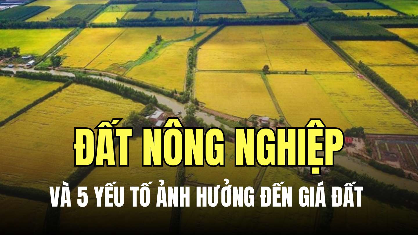 5 yếu tố quan trọng ảnh hưởng đến giá đất nông nghiệp