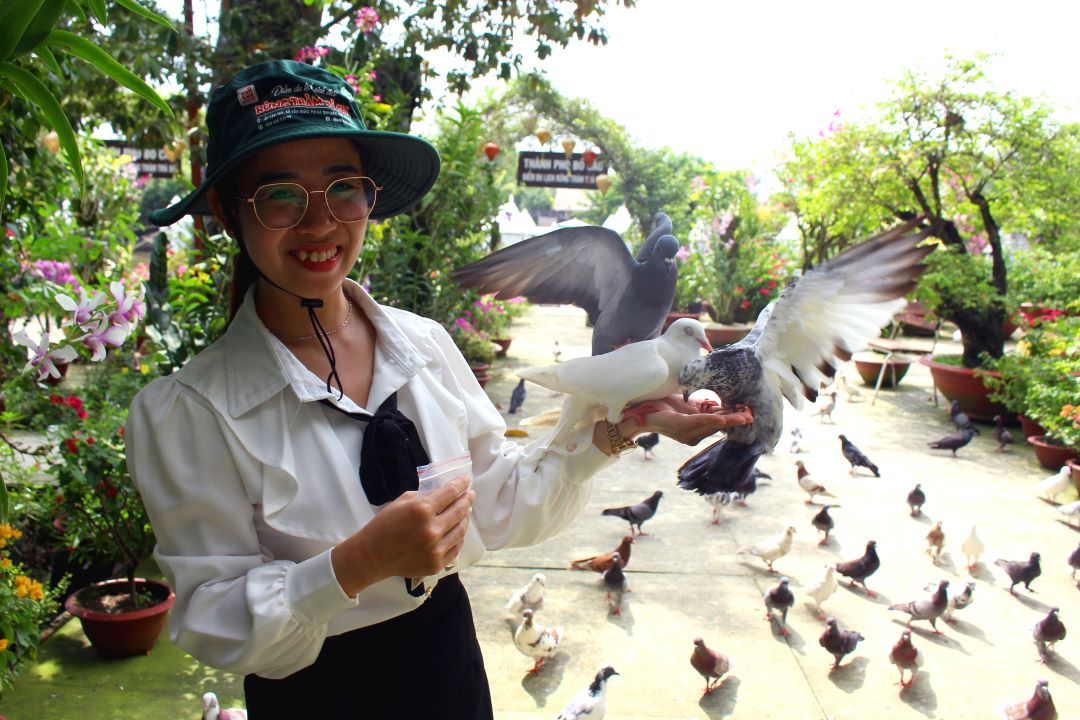 Thanh pho chim Bo cau tai Diem du lich Rung tram Tra Su. Anh: Lam Dien