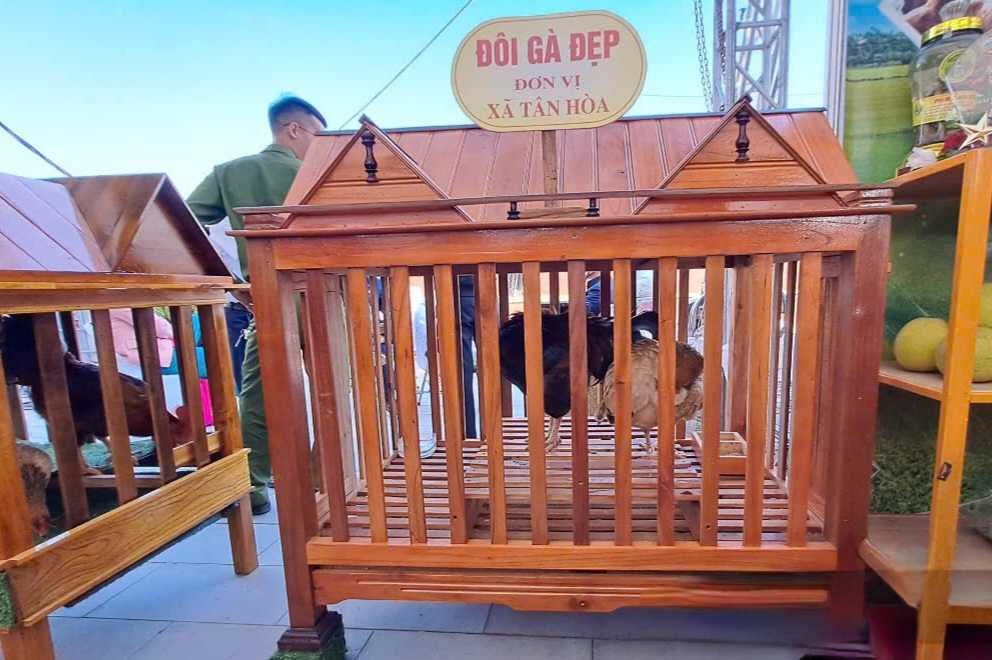 6 pairs of beautiful chickens were auctioned for nearly 1 billion VND. Photo: Ha Thanh