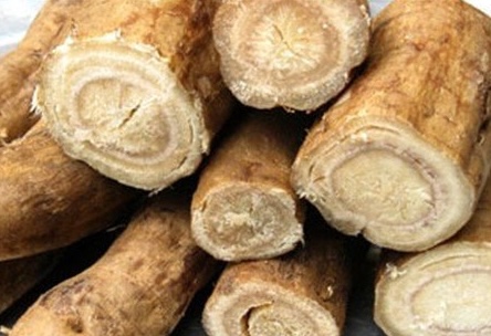 Kudzu root has significant benefits in lowering blood sugar but you should consult your doctor before using it. Photo: Hai Ha