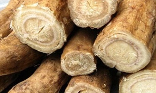 Sắn dây có lợi ích đáng kể trong hạ đường huyết nhưng nên tham khảo ý kiến bác sĩ khi sử dụng. Ảnh: Hải Hà