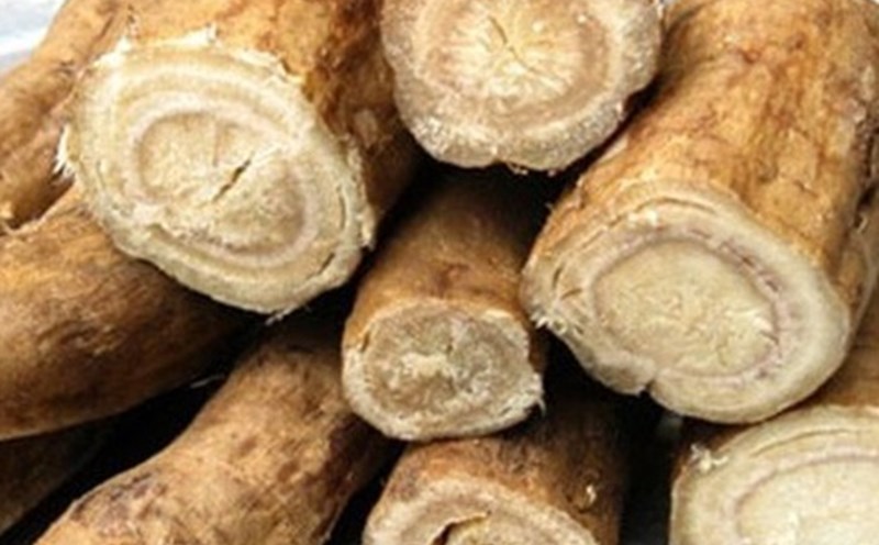 Kudzu root has significant benefits in lowering blood sugar but you should consult your doctor before using it. Photo: Hai Ha