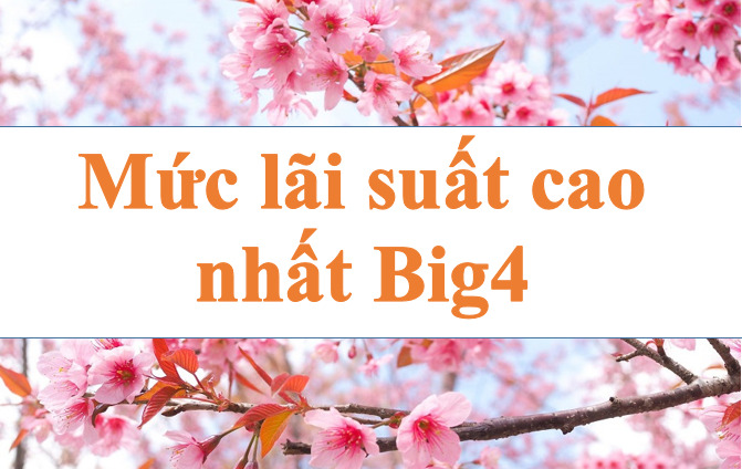 Update the highest interest rate of Big4 group. Illustration: Ha Vy