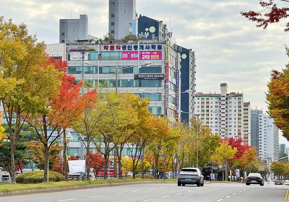 Những hàng cây chuyển màu vàng, cam, đỏ khắp Seoul. Mùa lá vàng, lá đỏ ở Hàn Quốc năm nay kéo dài từ tháng 9 đến khoảng giữa tháng 11. Ảnh: Facebook nhân vật