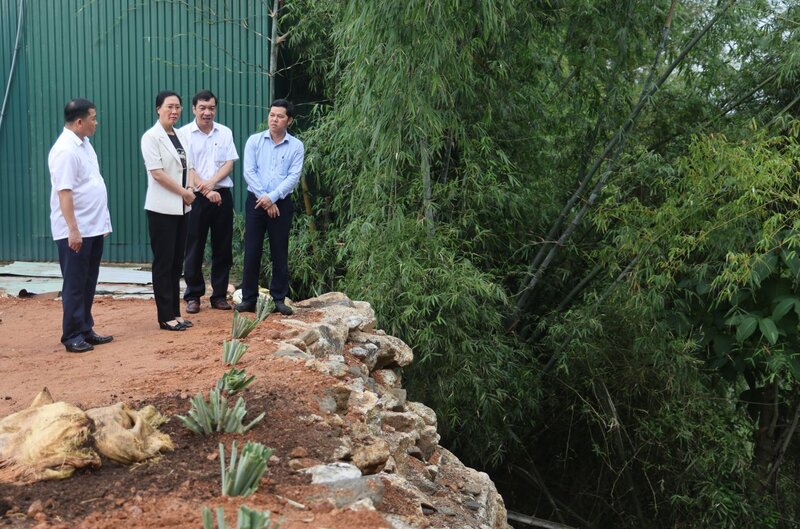 The landslide along the Ve River, through Phu Lam village, Hanh Thien commune, Nghia Hanh district, Quang Ngai province, is about 1.5km long, causing concern for local people and authorities during every rainy and stormy season. Photo: Vien Nguyen