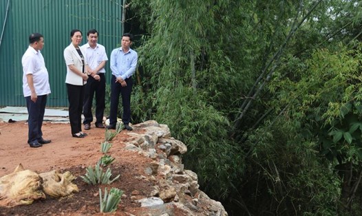 Điểm sạt lở ven sông Vệ, đoạn qua thôn Phú Lâm, xã Hành Thiện, huyện Nghĩa Hành, tỉnh Quảng Ngãi kéo dài khoảng 1,5km, khiến người dân, chính quyền lo lắng vào mỗi mùa mưa bão. Ảnh: Viên Nguyễn