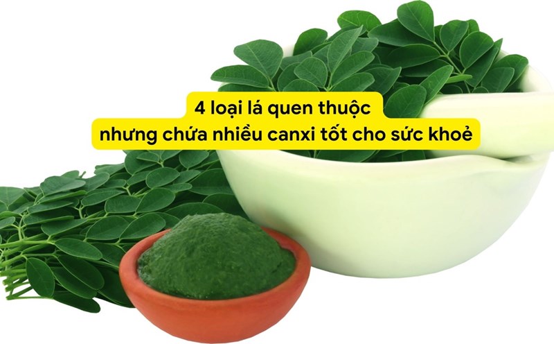 Moringa leaves contain a lot of calcium, good for health. Photo collage: HUONG SON