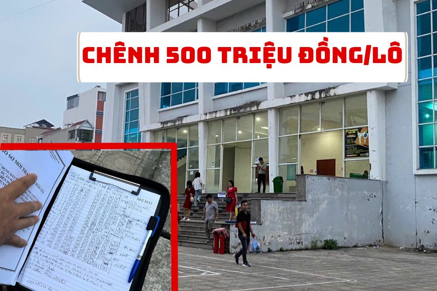 Many land brokers quickly sold the auctioned lots for 350-500 million VND/lot. Photo: Nhu Ha