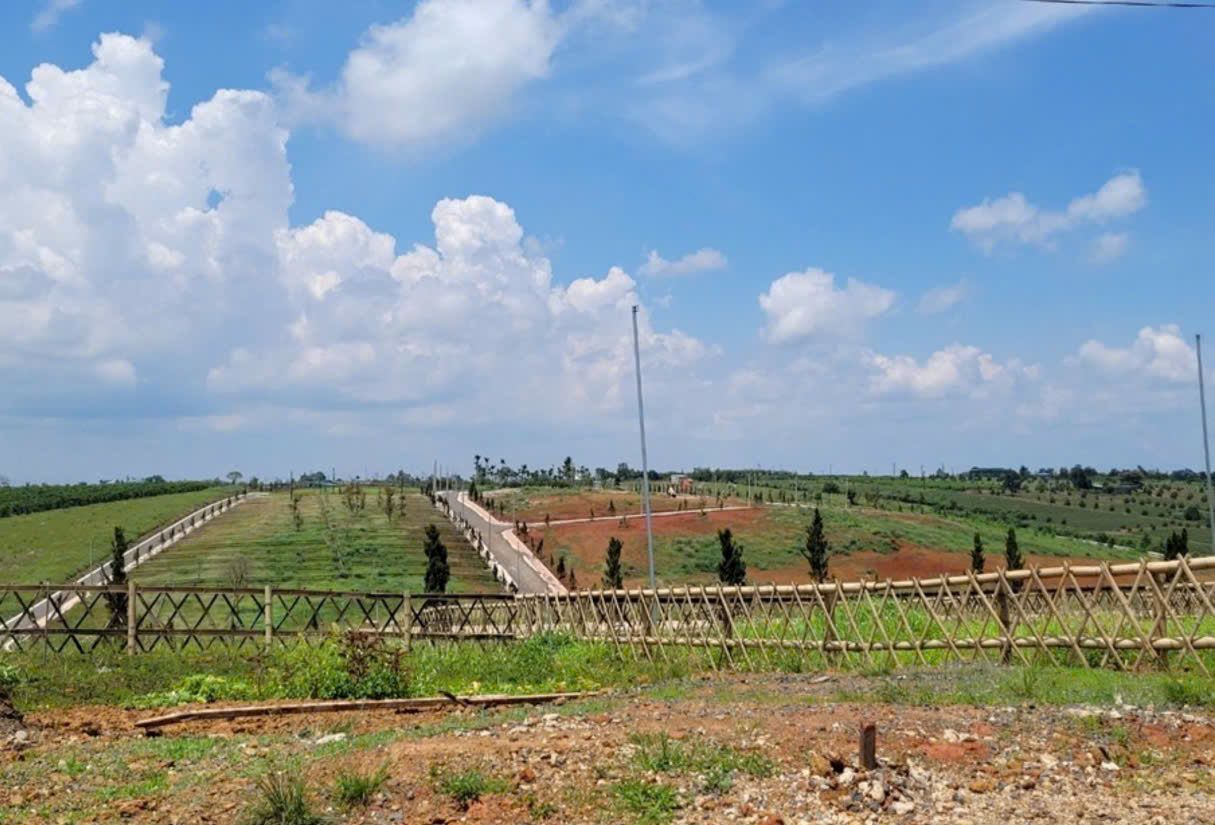 Many officials were proposed to be disciplined in the land donation and subdivision case. Photo: Nguyen Thanh