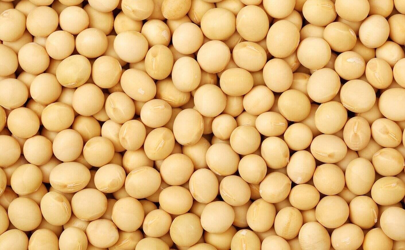 Soybeans are said to help reduce blood sugar if added to the diet properly. Photo: Kieu Vu
