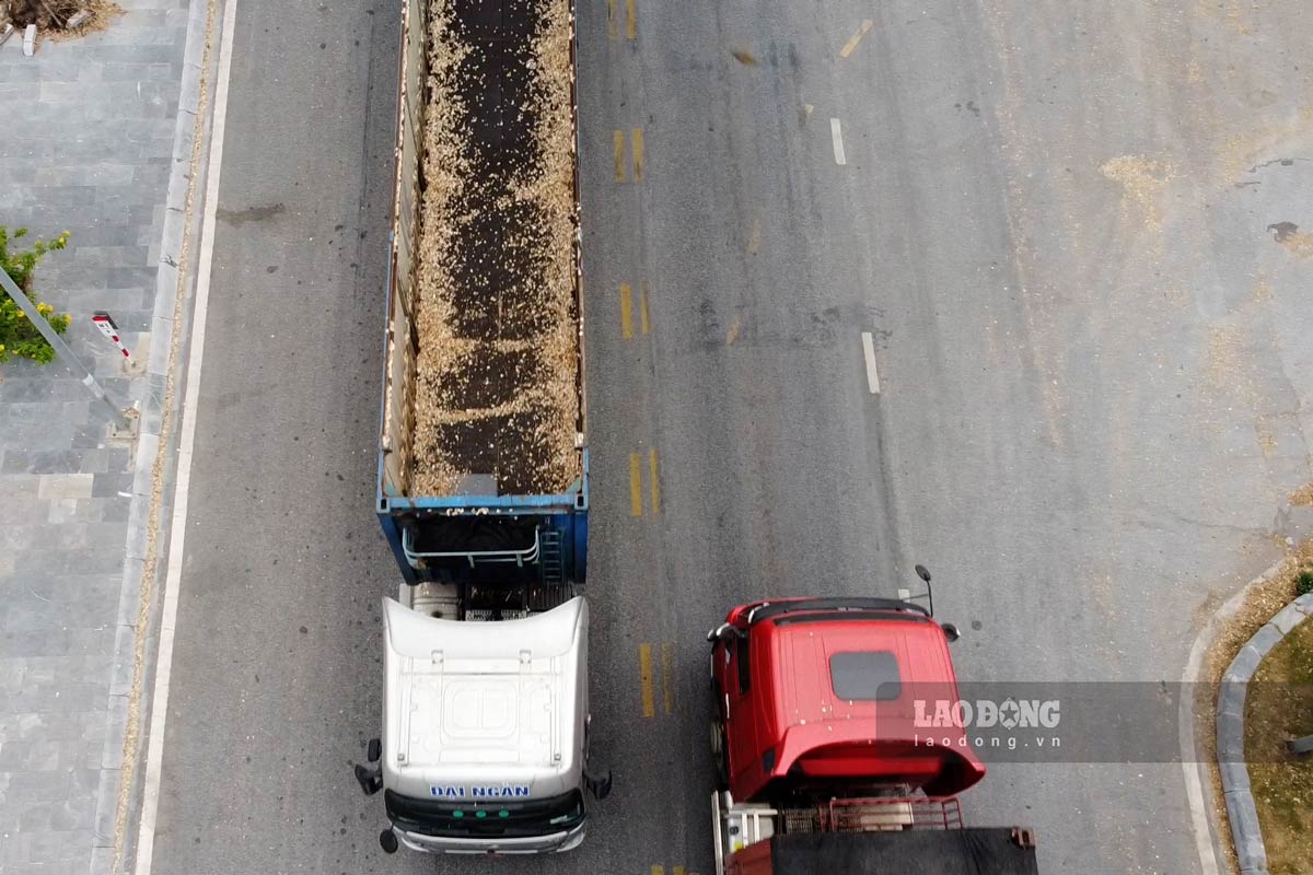 Vehicles that do not clean the containers after loading and unloading move on the road. (Taken on November 3 at the entrance to Cai Lan port) Photo: Doan Hung