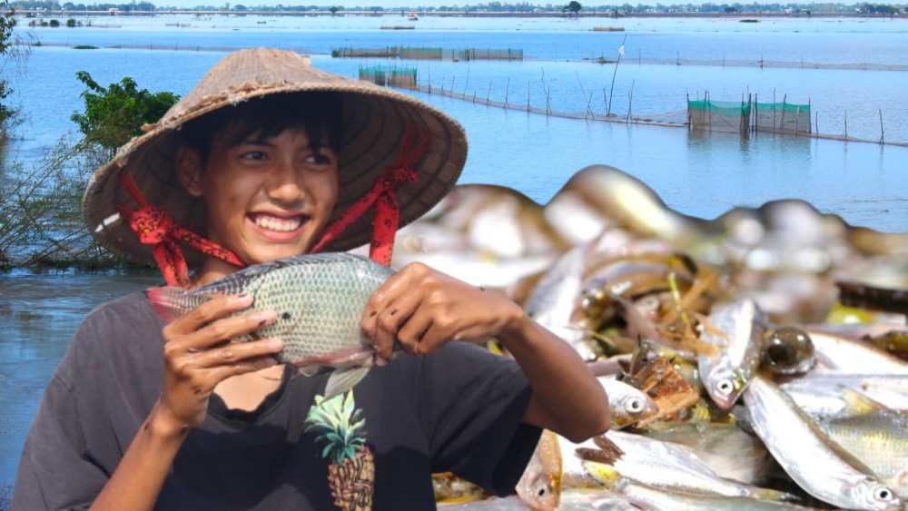 Westerners turn disadvantages into opportunities to adapt to floods