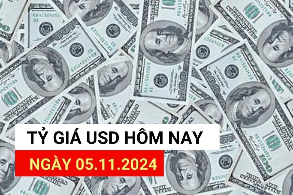 USD exchange rate today 11/5/2024.