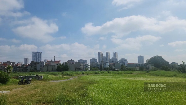 Phu Xuyen district will auction more than 3,100 square meters of residential land. Illustration photo: Minh Hanh