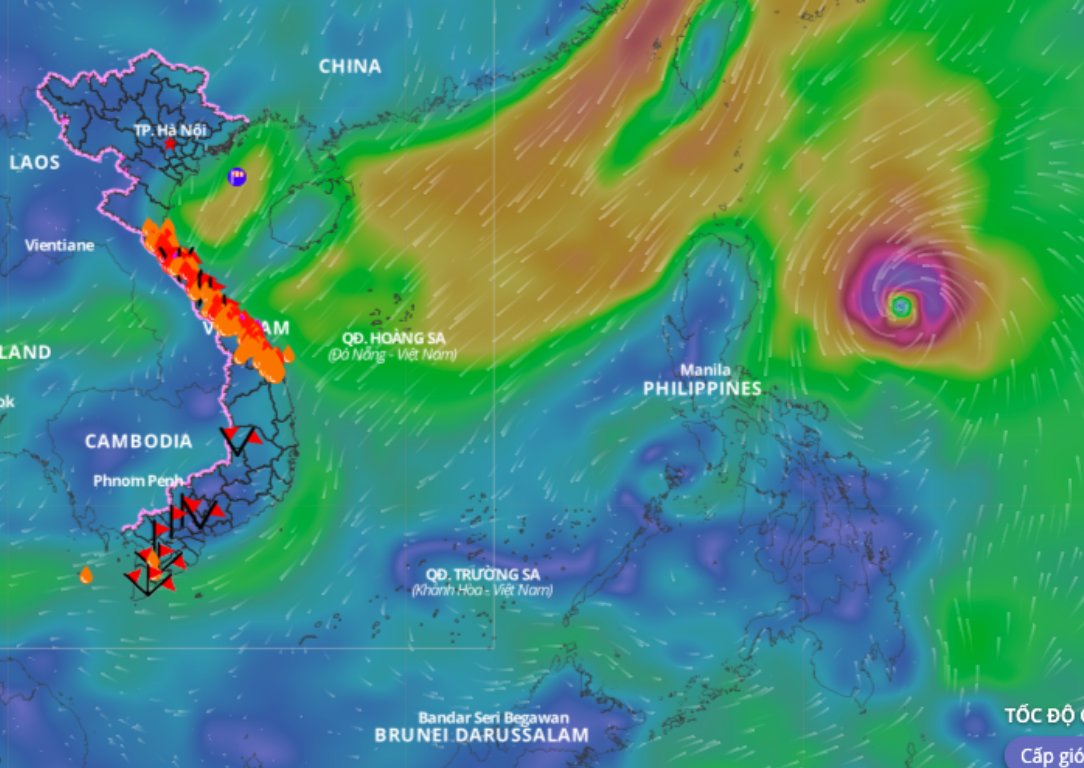 Cold air is forecast to continue causing bad weather in the Gulf of Tonkin and the North East Sea. Above is the image of the wind direction layer at 2:00 p.m. on November 5. Source: Vietnam Natural Disaster Monitoring System