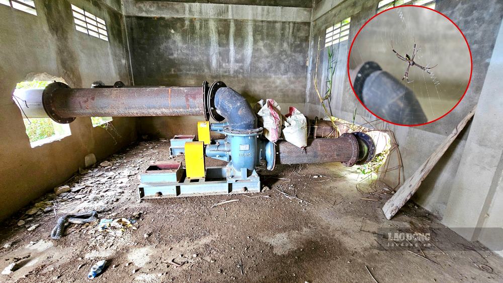 Dự án trạm bơm đã cơ bản hoàn thành nhưng không có hồ sơ điện nên không được đóng điện để hoạt động. Ảnh: Phúc Đạt.