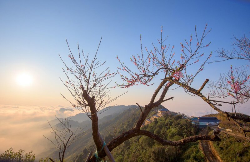 Khung cảnh Tà Xùa mùa hoa đào nở (Ảnh: Sói)