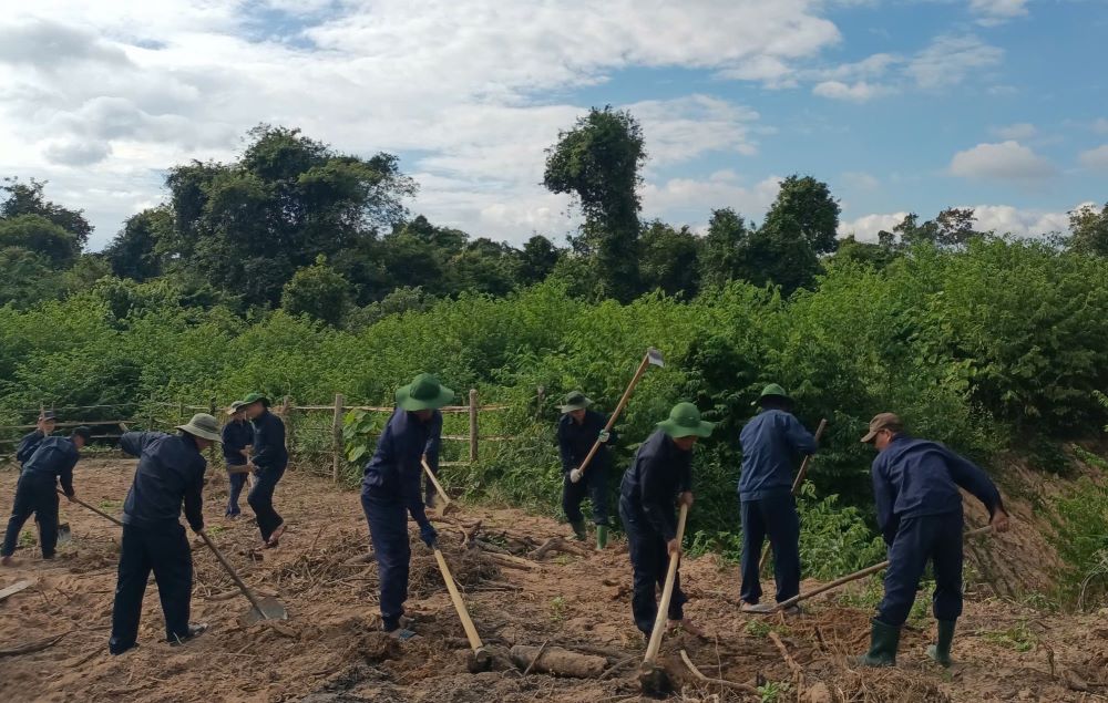 Martyr Remains Collection Team 584 searches for martyrs' remains in Laos. Photo: Kim Quy.