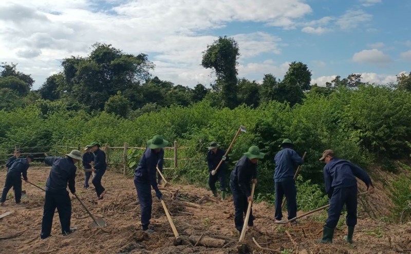 Martyr Remains Collection Team 584 searches for martyrs' remains in Laos. Photo: Kim Quy.