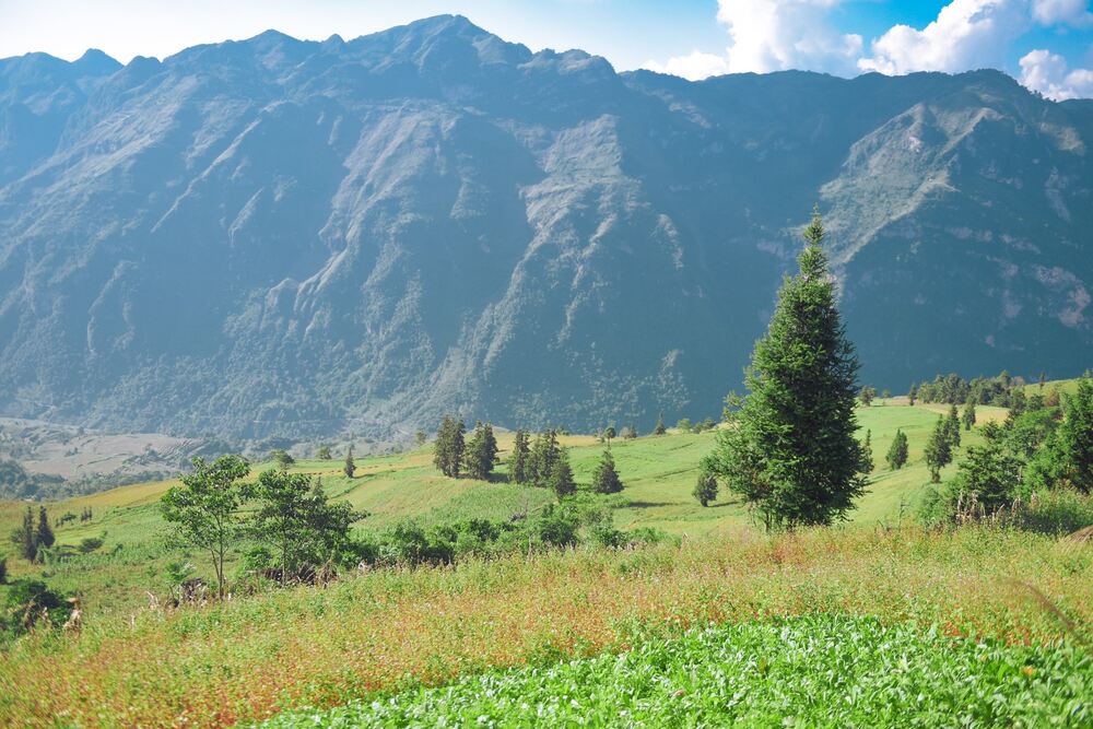 “Duong di tu Bac Ha len Suoi Thau kha dep, quang duong di nhieu deo nhung khong qua doc, cao va it khuc cua tay ao. Tuy nhien mot vai doan van con bi anh huong boi sat lo sau bao Yagi nen van co nhung o ga nho, can di chuyen can than”, nam du khach cho biet. Anh: NVCC