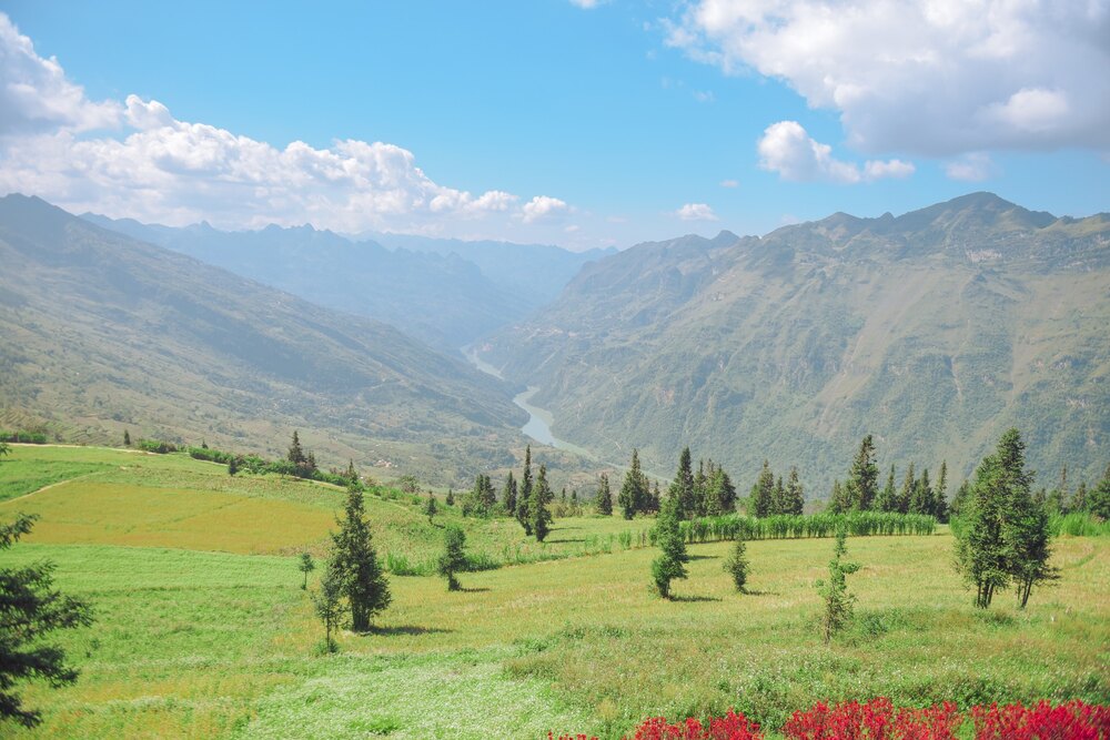 Nằm ở xã Nàn Ma, nơi tiếp giáp giữa huyện Xín Mần (Hà Giang) và huyện Bắc Hà (Lào Cai), thảo nguyên Suôi Thầu thu hút khách du lịch với khung cảnh ngỡ như chỉ có trong truyện cổ tích. 