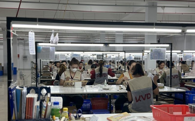The labor market and production and business activities of some enterprises in Dak Lak were bustling at the end of 2024. Photo: Bao Trung