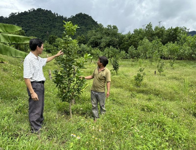 Năm 2023, huyện Nam Giang, Quảng Nam có hơn 500 hộ dân thoát nghèo được hỗ trợ từ nguồn vốn Chương trình mục tiêu quốc gia phát triển kinh tế-xã hội vùng đồng bào DTTS và miền núi 