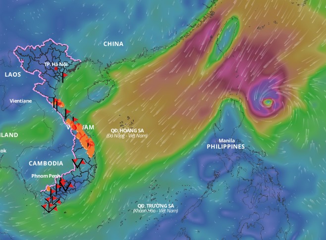 Cold air is forecast to continue causing bad weather in the North East Sea. Above is the image of the wind direction layer at 10:30 a.m. on November 6. Source: Vietnam Natural Disaster Monitoring System