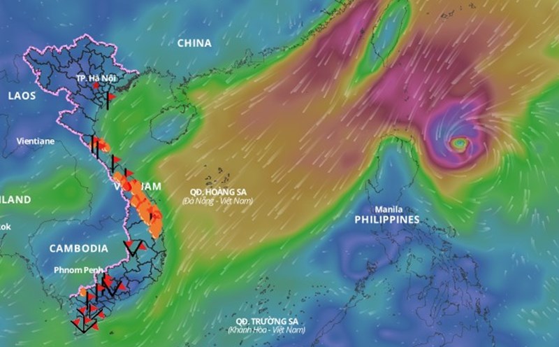Cold air is forecast to continue causing bad weather in the North East Sea. Above is the image of the wind direction layer at 10:30 a.m. on November 6. Source: Vietnam Natural Disaster Monitoring System