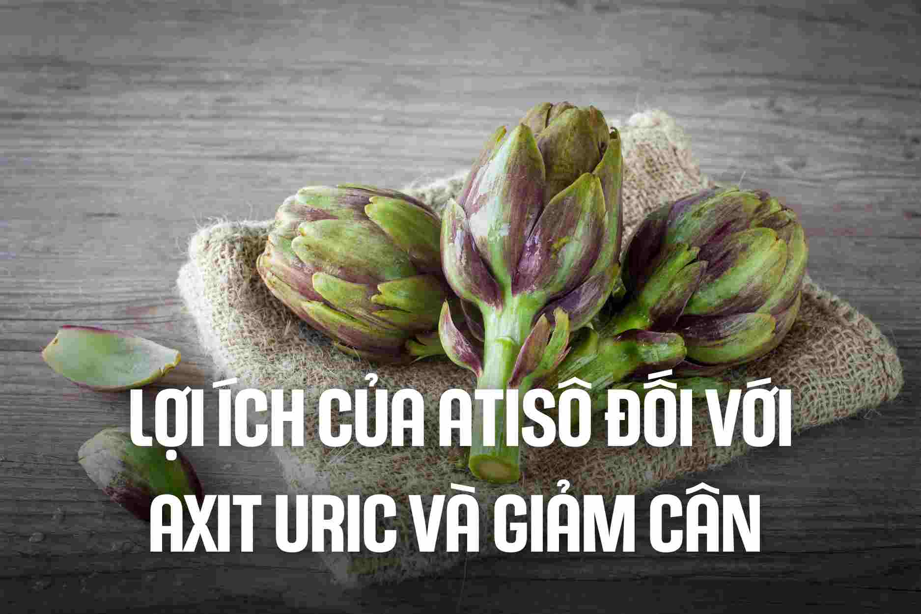Artichoke benefits for uric acid and weight loss. Graphic: Cao Thom