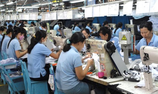 Nhiều doanh nghiệp thâm dụng lao động đang có xu hướng dần dịch chuyển về các tỉnh lân cận TPHCM do chi phí nhân công rẻ, mặt bằng rộng. Ảnh: Nam Dương