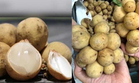 Quả dâu da có nhiều lợi ích cho sức khỏe nhưng dễ gây tăng đường huyết. Đồ họa: Hương Giang