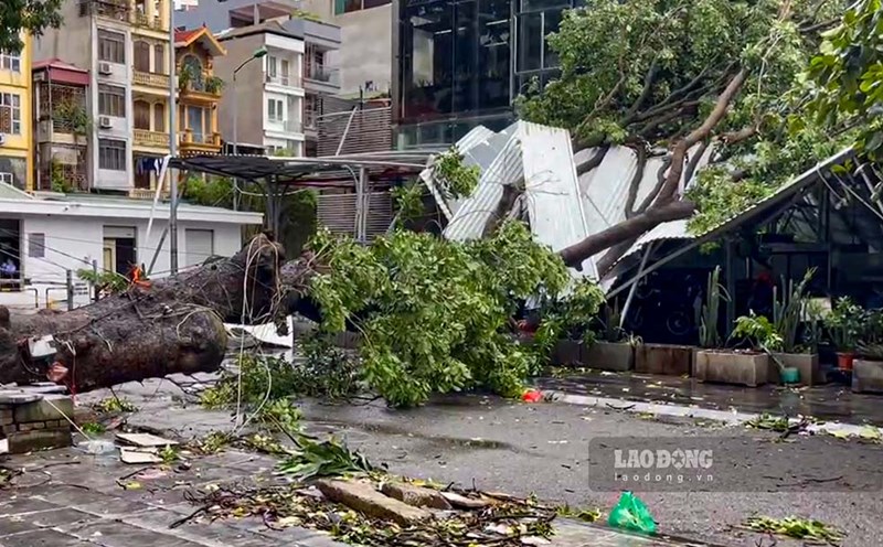 Advance compensation for damage of nearly 435 billion VND after storm No. 3. Photo: Thien Nhan.