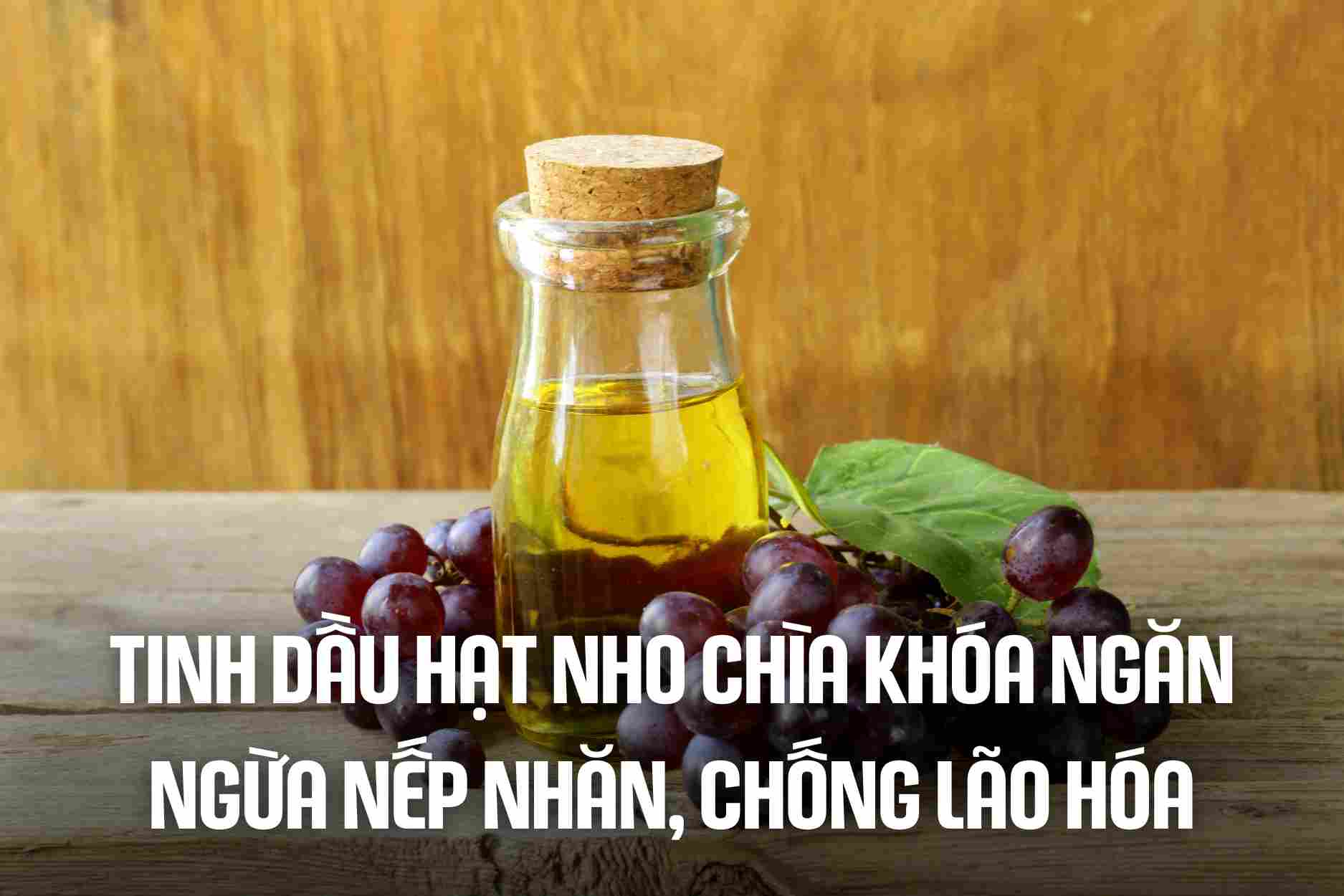 Grape seed essential oil key prevent wrinkles, anti-aging. Graphic: Highly Fragrant