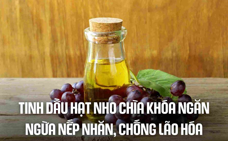 Grape seed essential oil key prevent wrinkles, anti-aging. Graphic: Highly Fragrant