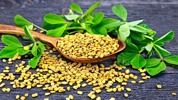 Fenugreek significantly reduces blood sugar. Photo: According to Stylecraze