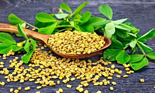 Cỏ cà ri làm giảm đáng kể đường huyết. Ảnh: Theo Stylecraze