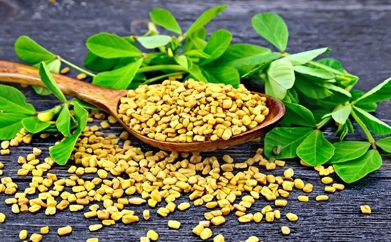 Fenugreek significantly reduces blood sugar. Photo: According to Stylecraze