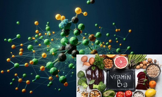 Những người ăn chay và thuần chay có xu hướng bị thiếu hụt vitamin B9. Ảnh - AI: Ngọc Thùy
