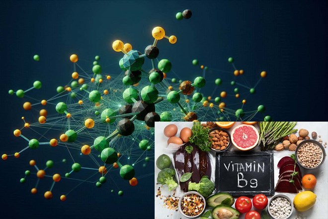 Thiếu hụt vitamin B9 ảnh hưởng đến cơ thể thế nào?