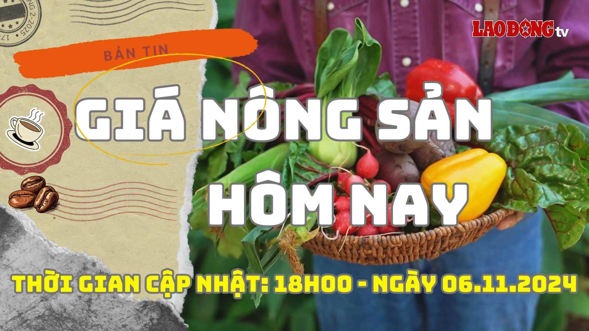 Agricultural product prices today 11/6/2024. Photo: Phan Tuan