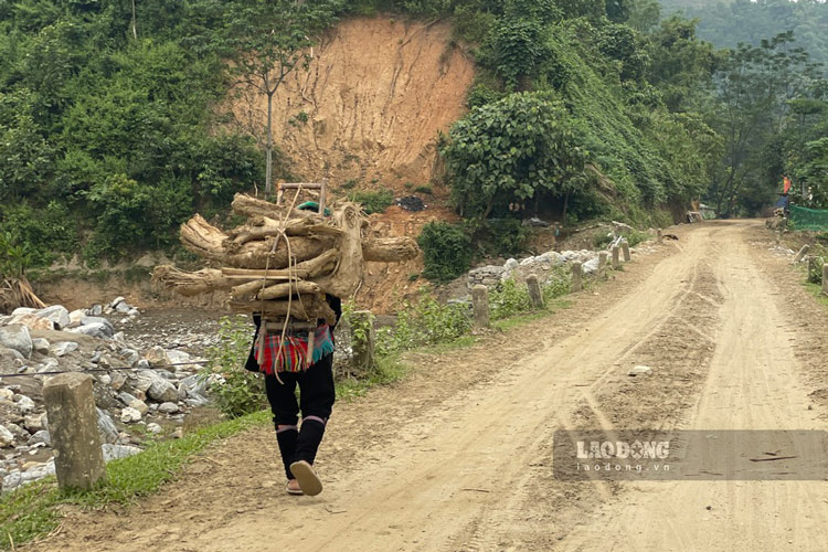 Khong con dat cay cay, nguoi dan di nhat nhanh cui kho bi dong nuoc cuon ve o bo suoi va ruong nuong. 