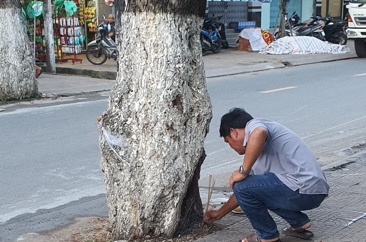 Thap huong cu me tren duong Ba Trieu, thanh pho Bac Lieu truoc khi tien hanh di doi. Anh: Nhat Ho