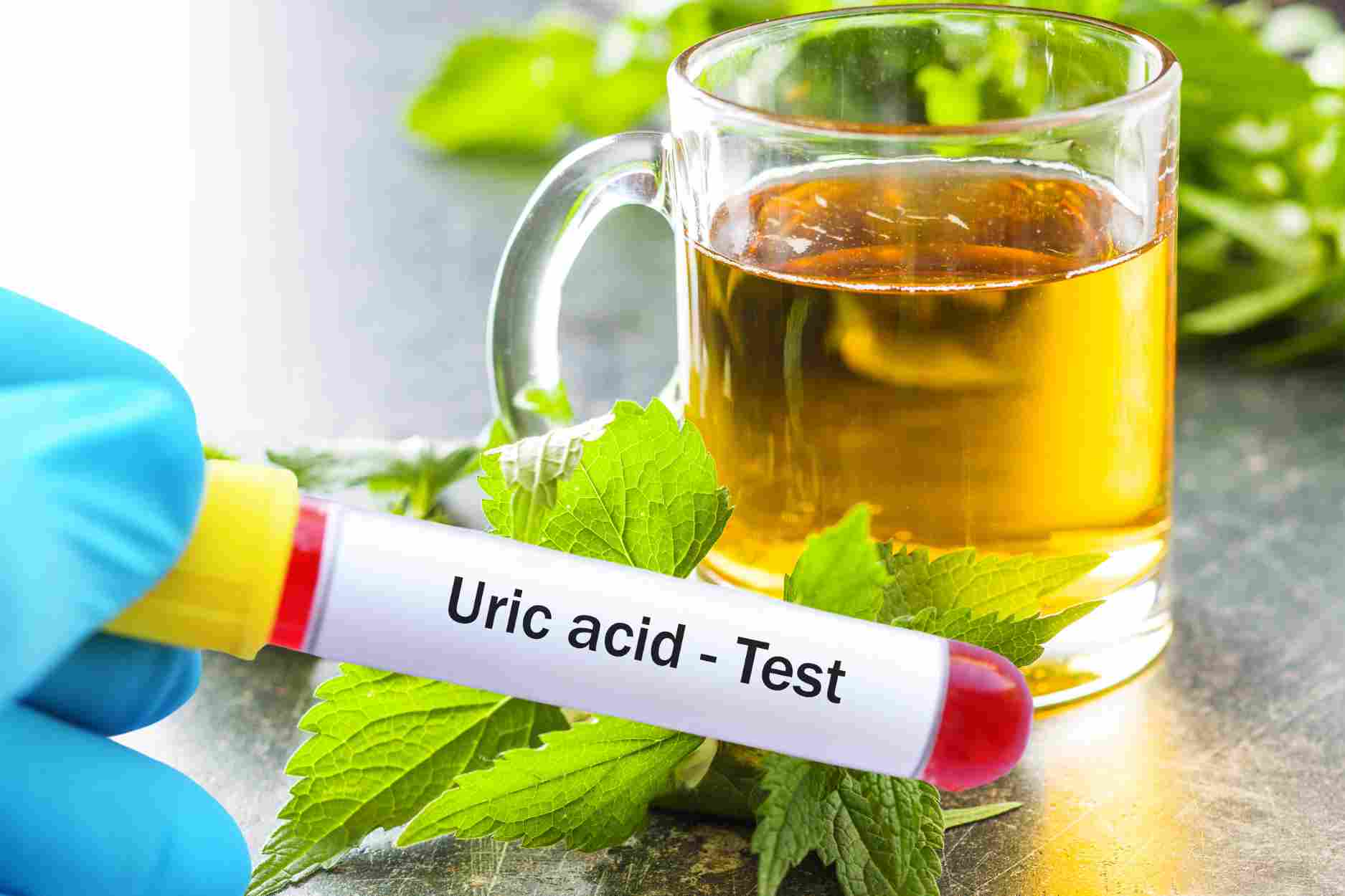 Prevent hyperuricemia with 2 simple herbal teas