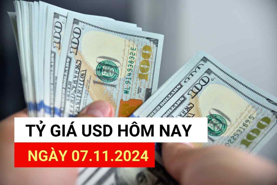 Exchange Rates USD today 17.11.2024.