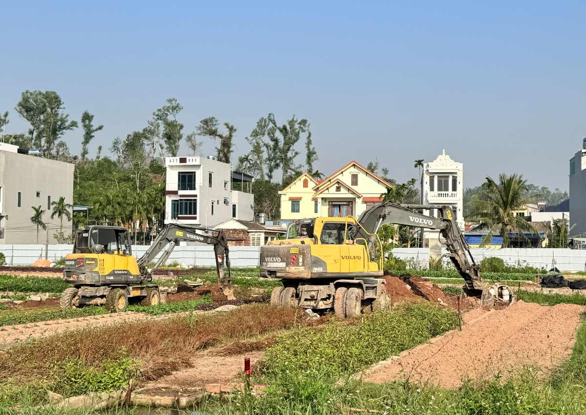 Forces participating in the enforcement of land recovery. Photo: Thuy Nguyen District People's Committee