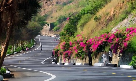 Đường lên bán đảo Sơn Trà. Ảnh: Nguyễn Linh