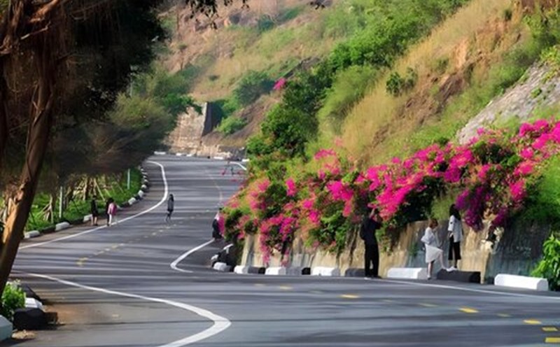 Road to Son Tra peninsula. Photo: Nguyen Linh