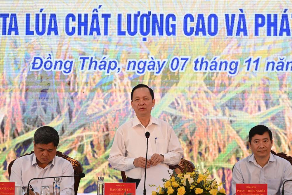 Implementing preferential credit for 1 million hectares of rice in the Mekong Delta. Photo: SBV