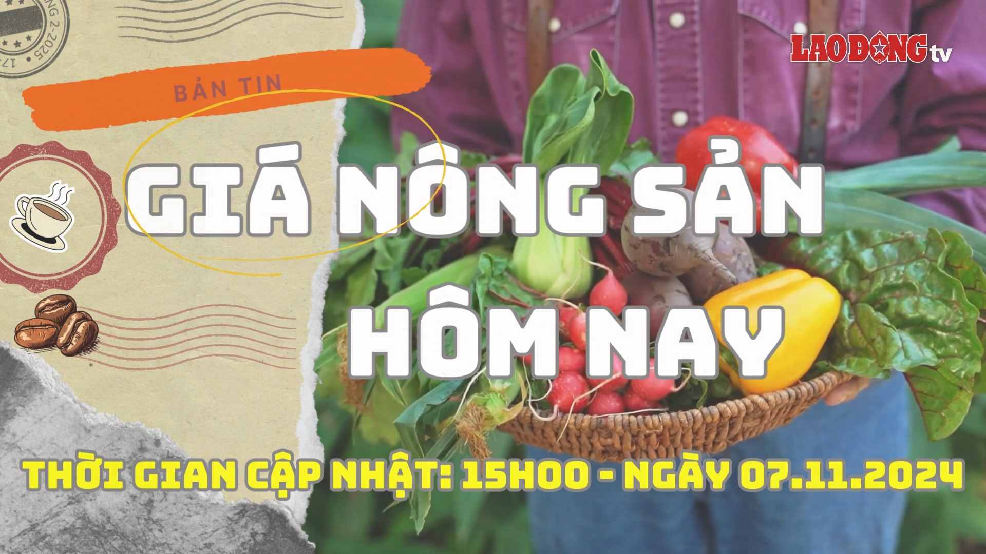 Agricultural product prices today, November 7, 2024. Photo: Phan Tuan